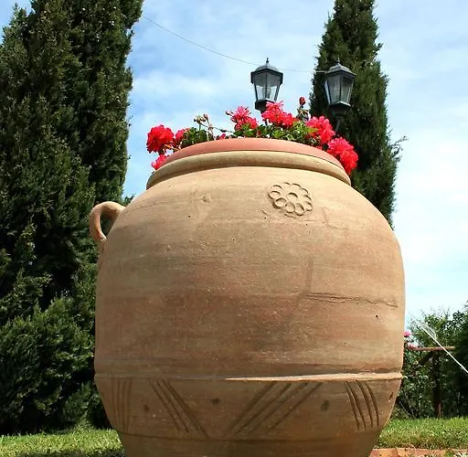 Tenuta Foderaro Amaroni